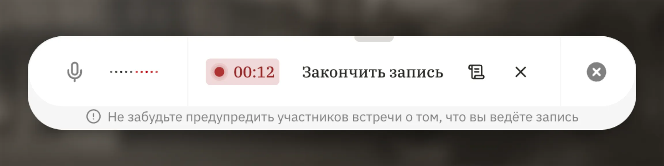 Компактное окно re:Meet во время записи.