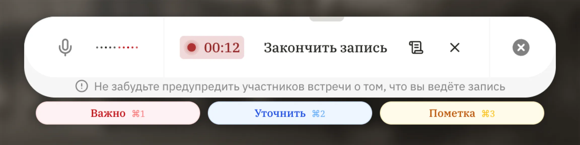 Панель быстрых меток во время записи.